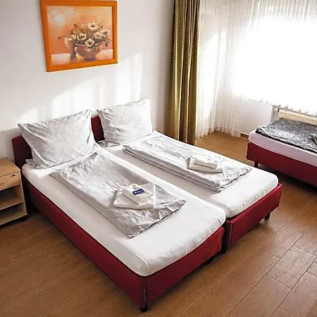 Hotel Restaurant Neffelthal 3*